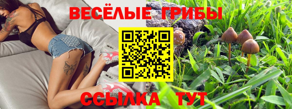 Галлюциногенные грибы Cubensis Фурманов